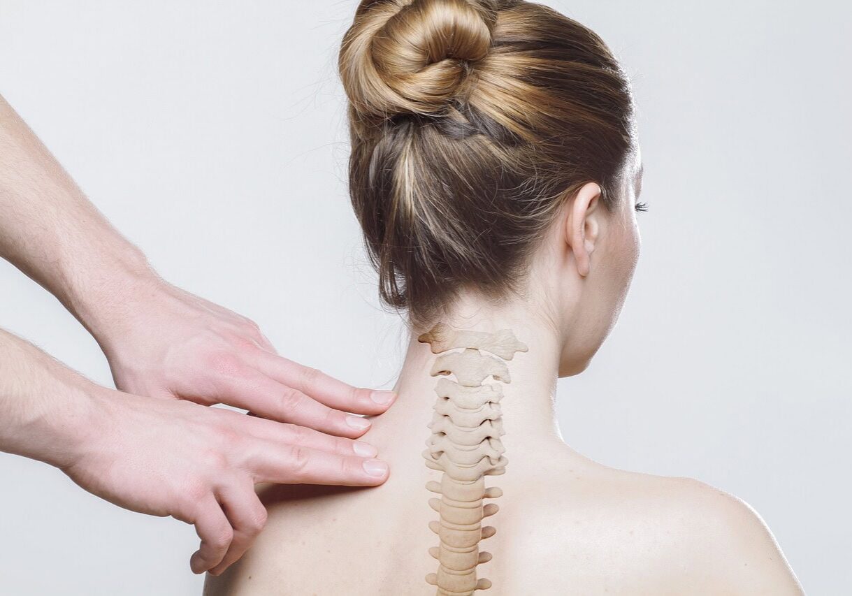 gkhaus-back-4916984_1280